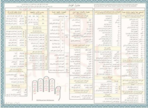 Avamil Şeması Renkli