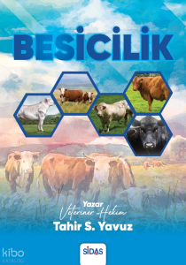 Besicilik