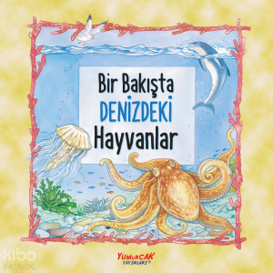 Bir Bakışta Denizdeki Hayvanlar