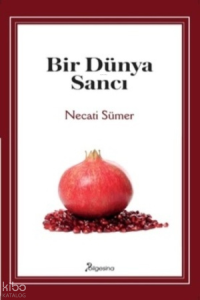 Bir Dünya Sancı