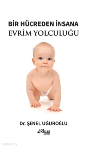 Bir Hücreden İnsana Evrim Yolculuğu