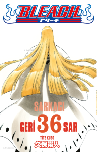 Bleach 36 Cilt