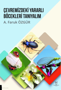Çevremizdeki Yararlı Böcekleri Tanıyalım