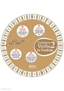 Common Verbs in Turkish 2