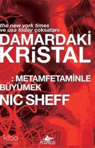 Damardaki Kristal; Metamfetaminle Büyümek