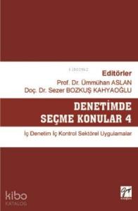 Denetimde Seçme Konular 4 İç Denetim İç Kontrol Sektörel Uygulamalar