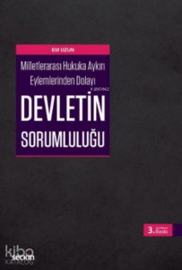 Devletin Sorumluluğu