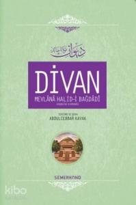 Divan Mevlânâ Halid-i Bagdâdî (Ciltli)