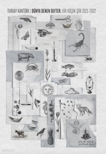 Dünya Denen Defter;100 Küçük Şiir