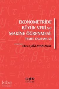Ekonometride Büyük Veri ve Makine Öğrenmesi; Temel Kavramlar