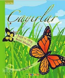 Ekosistem 2. Kitap: Çayırlar; Yeşil ve Altın Sarısı  Alanlar