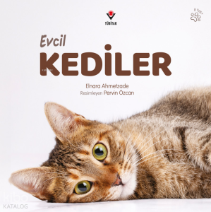 Evcil Kediler