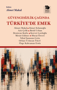 Güvencesizlik Çağında Türkiye'de Emek