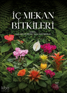 İç Mekan Bitkileri