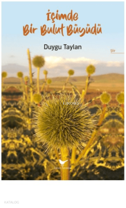 İçimde Bir Bulut Büyüdü