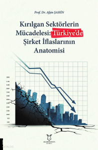 Kırılgan Sektörlerin Mücadelesi Türkiye’de Şirket İflaslarının Anatomisi