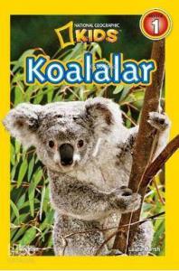 Koalalar-Seviye 1