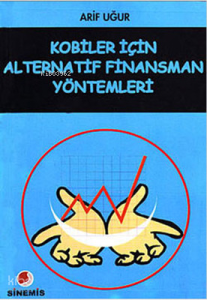 Kobiler İçin Alternatif Finansman Yöntemleri