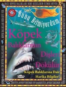 Köpek Balıklarının Dişleri Dökülür - Bunu Bilmiyordum Köpek Balıklarına Dair Harika Bilgiler!