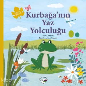 Kurbağa’nın Yaz Yolculuğu ;Doğada Bir Yıl
