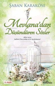 Mevlana'dan Düşündüren Sözler