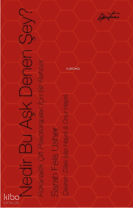 Nedir Bu Aşk Denen Şey?;Psikanalitik Çift Psikoterapileri İçin Bir Rehber