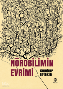 Nörobilimin Evrimi