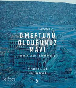 O Meftunu Olduğunuz Mavi; Devrim Erbil'in İstanbul'u