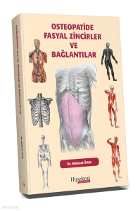 Osteopatide Fasyal Zincirler ve Bağlantılar