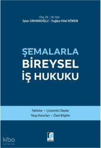 Şemalarla Bireysel İş Hukuku
