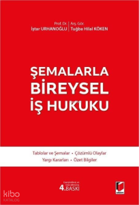 Şemalarla Bireysel İş Hukuku