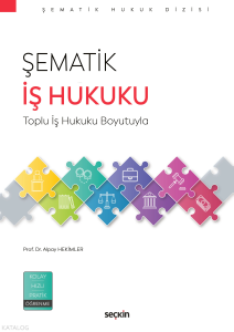 Şematik İş Hukuku;Toplu İş Hukuku Boyutuyla