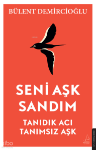 Seni Aşk Sandım;Tanıdık Acı, Tanımsız Aşk