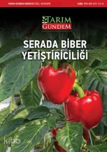 Serada Biber Yetiştiriciliği
