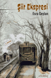 Şiir Ekspresi