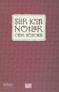 Şiir İçin Notlar