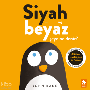 Siyah ve Beyaz Şeye Ne Denir?