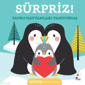 Sürpriz! - Yavru Hayvanları Tanıyorum (Ciltli)