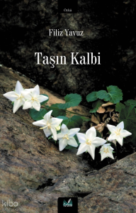 Taşın Kalbi