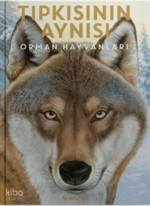 Tıpkısının Aynısı