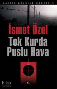 Tok Kurda Puslu Hava; Şairin Devriye Nöbeti 1