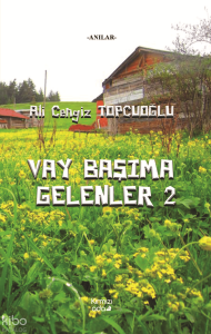 Vay Başıma Gelenler 2