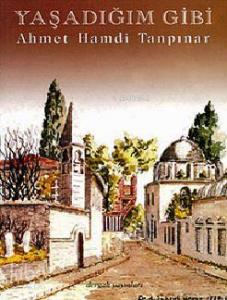 Yaşadığım Gibi