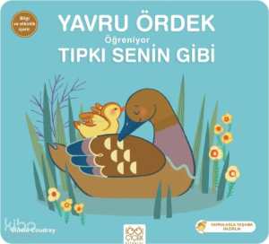 Yavru Ördek Öğreniyor Tıpkı Senin Gibi