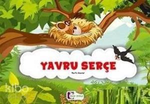 Yavru Serçe