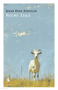 Yüksek Düşüşler