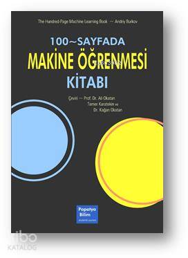 100-Sayfada Makine Öğrenmesi Kitabı - Kitapiks.com