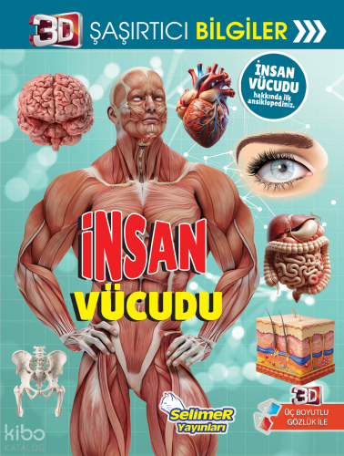 3D Şaşırtıcı Bilgiler - İnsan Vücudu