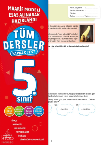 4 Element Tüm Dersler Yaprak Test 5. Sınıf
