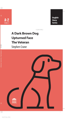 A Dark Brown Dog Upturned Face The Veteran
